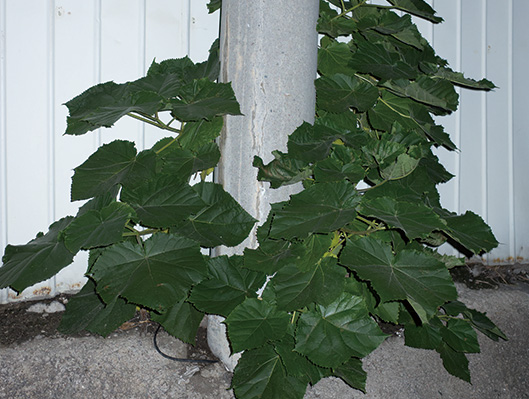 모범약국 옆 두 번째 빨간 집 사진展