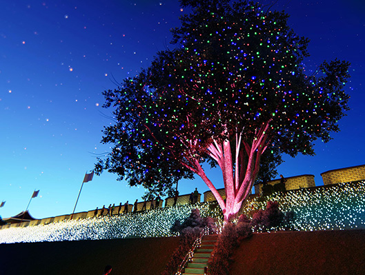 빛의 산책로, 수원화성